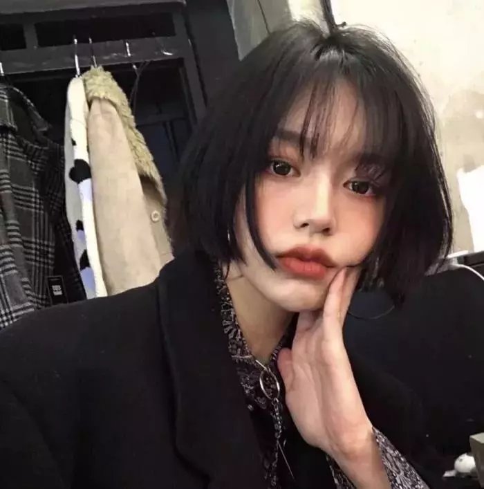 网红喵星人