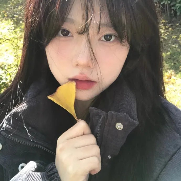 美丽城
